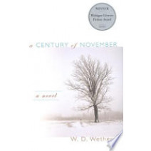 A Century of November: A Novel (Michigan Literary Fiction Awards)